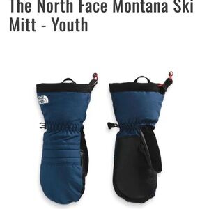 The North Face Navy Insulated Mittens 

Color: Shady Blue